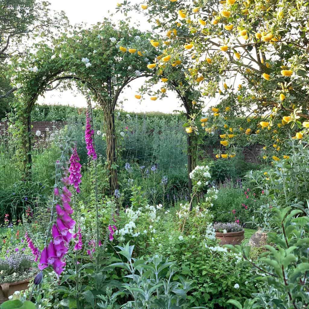 pergola garden trellis colorful flowers 