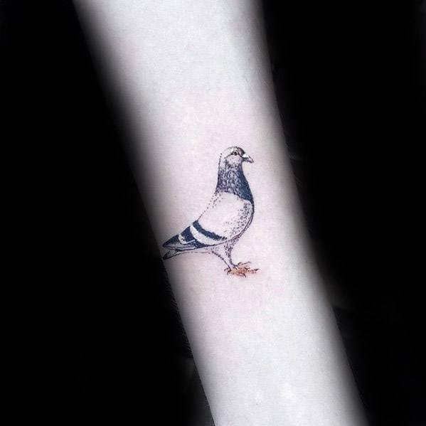 Pigeon Guys Tattoos