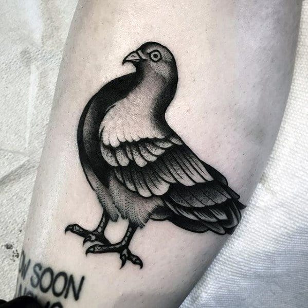 Pigeon Male Tattoos