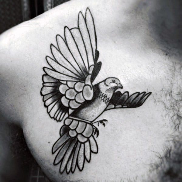 Pigeon Tattoos Male