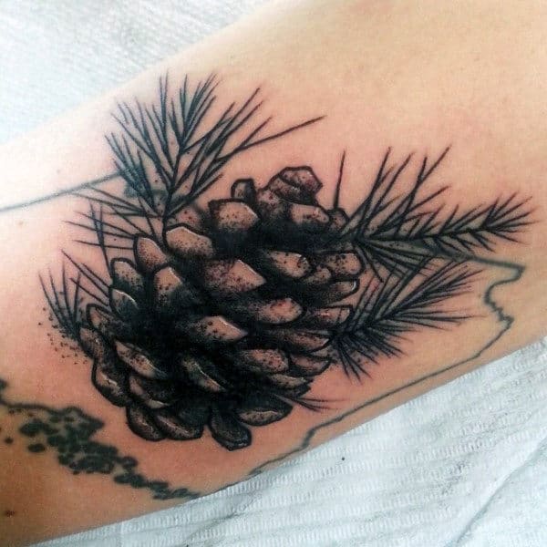 Pine Cone From Tree Tattoo For Men