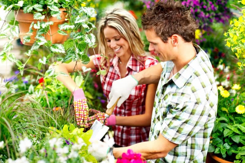 plant a garden to experience with your partner