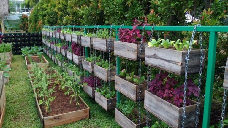 80 Vegetable Garden Ideas To Elevate Your Home Harvest