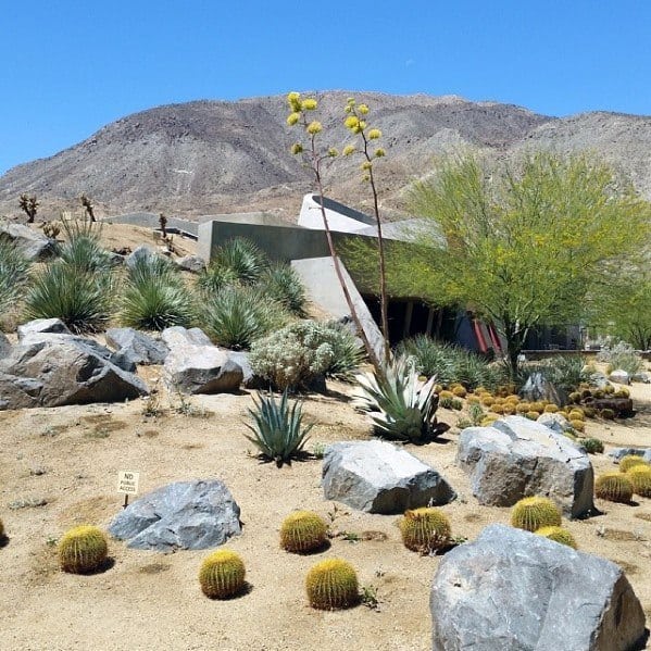 Plants For Desert Landscaping Front Yard Ideas