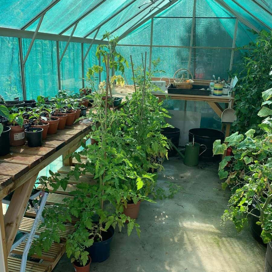 The Top 49 Greenhouse Ideas Landscaping Design