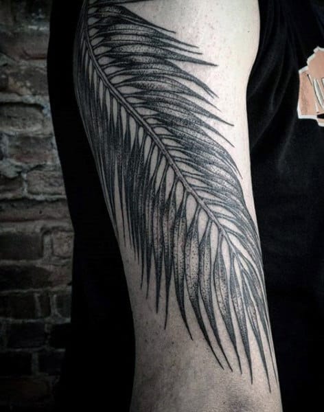 Pretty Palm Leaf Tattoo For Men On Arms