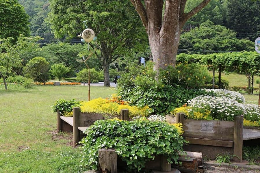 elevated wood flower beds 