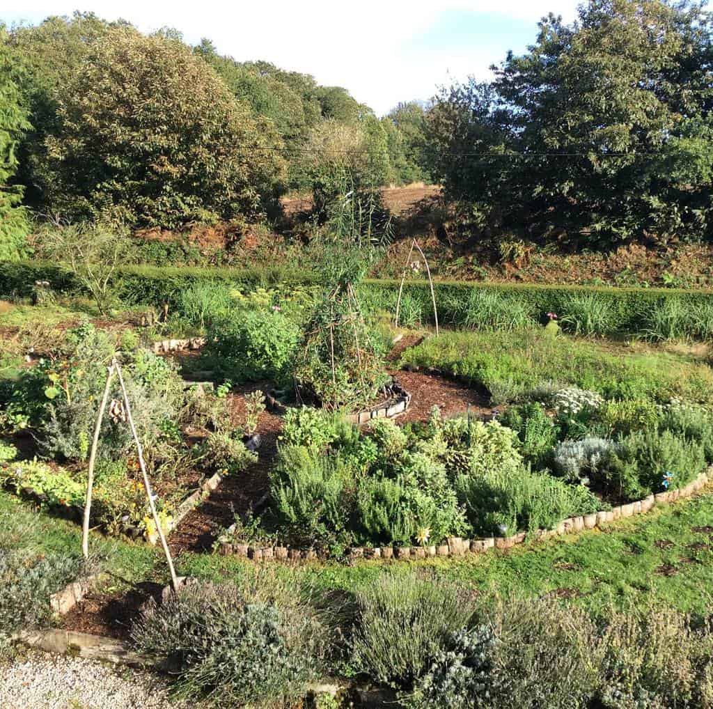 raised bed herb garden ideas afrinoonpermaculture