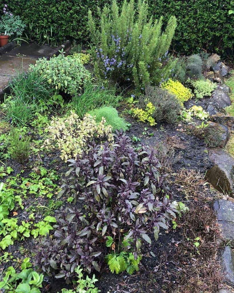 raised bed herb garden ideas balegarden
