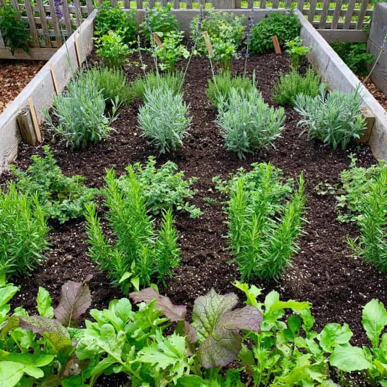 89 Creative Herb Garden Ideas for Every Green Enthusiast