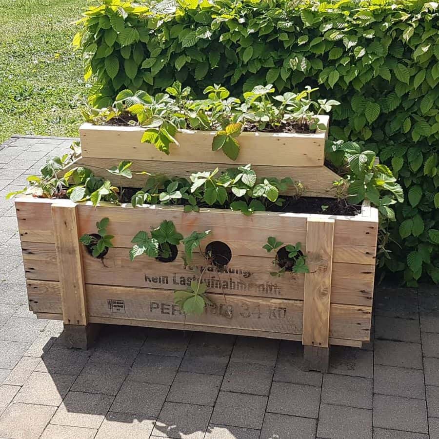 raised bed plant box pallet garden