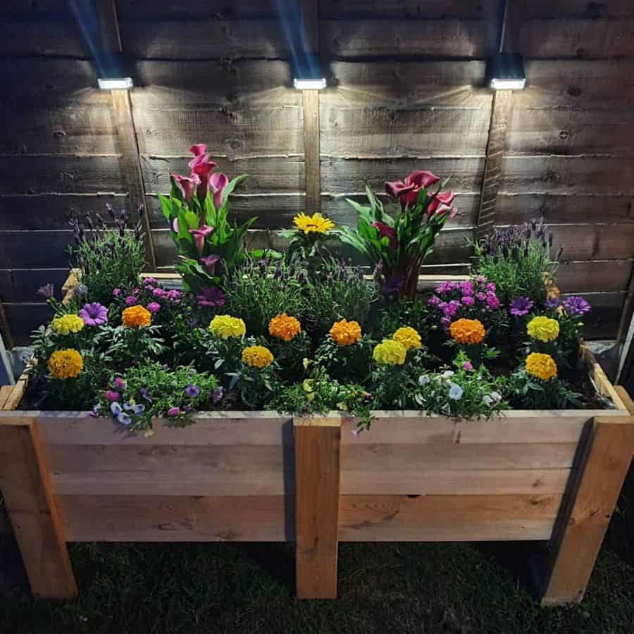 raised bed plant box wood pallet garden 