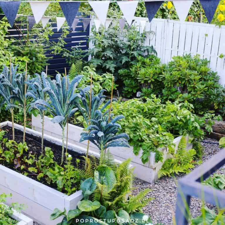 The Top 80 Vegetable Garden Ideas Next Luxury 