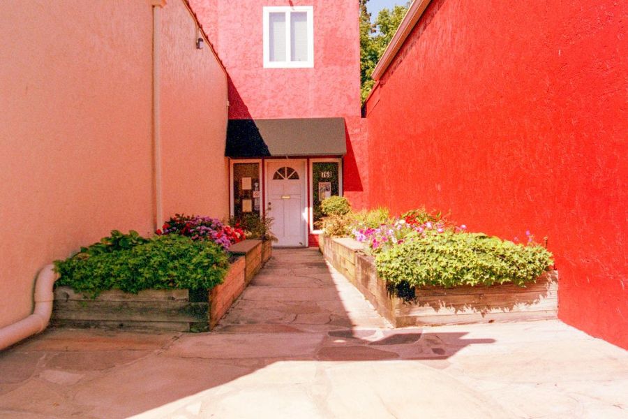 long raised flower beds red wall 