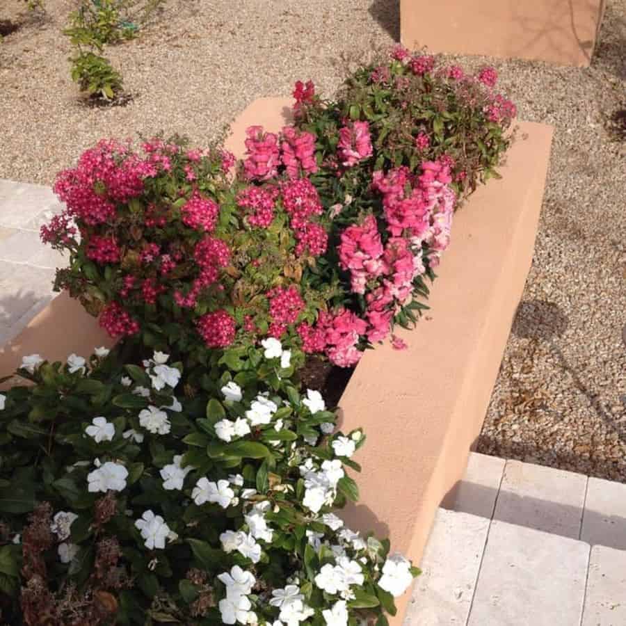 raised flower bed pink and white flowers