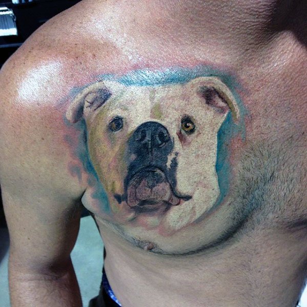 Realistic Bulldog Male Upper Chest Tattoos