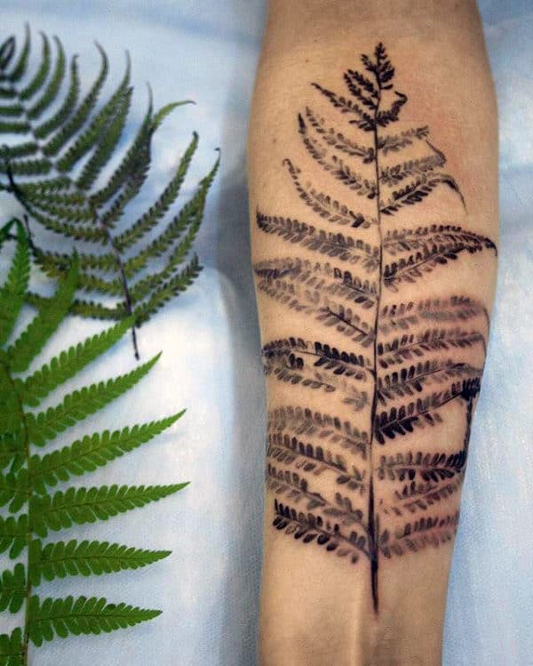 Realistic Mens Fern Forearm Tattoo Ideas