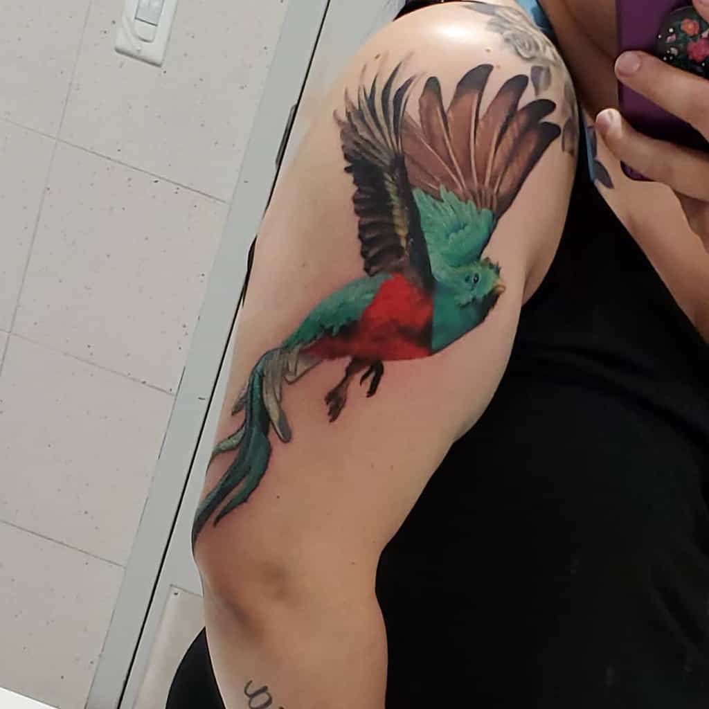 Skinner Ink Tattoos  Quetzal bird done by Hannah  Facebook