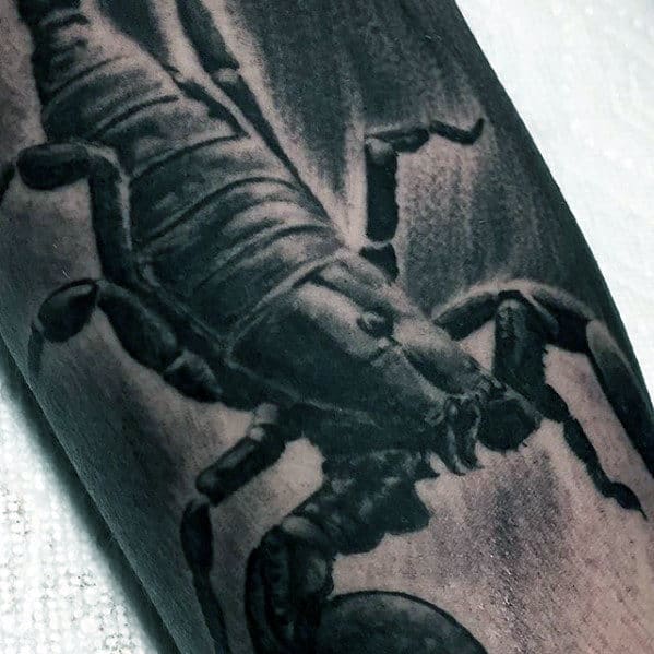 Realistic Scorpion 3d Mens Arm Tattoo