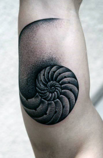Realistic Spiral Seashell Mens Bicep Tattoos