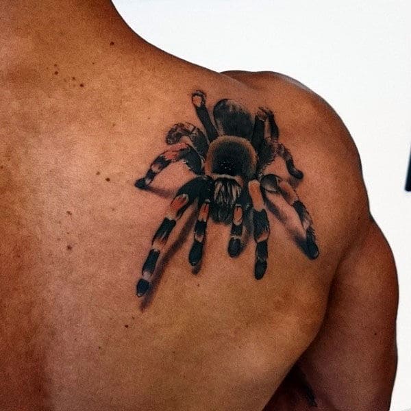 Realistic Tarantula Mens 3d Shoulder Blade Spider Tattoos