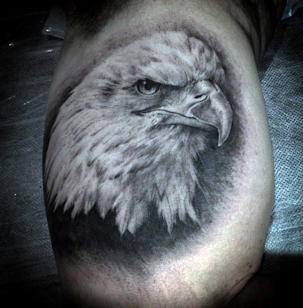 Realistic White Bald Eagle Tattoos For Men On Upper Arm