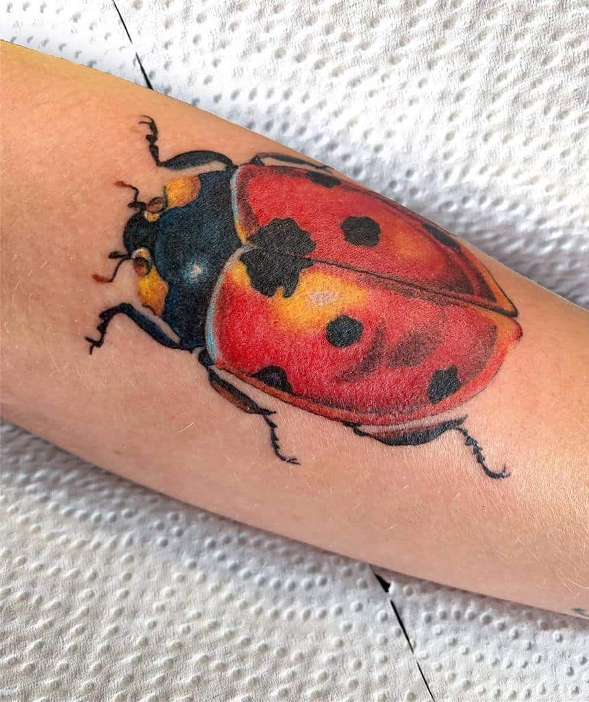 red-colorful-realism-ladybird-ladybug-tattoo-mimi_d_tattoo