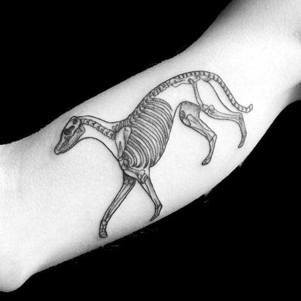 Remarkable Greyhound Tattoos For Males