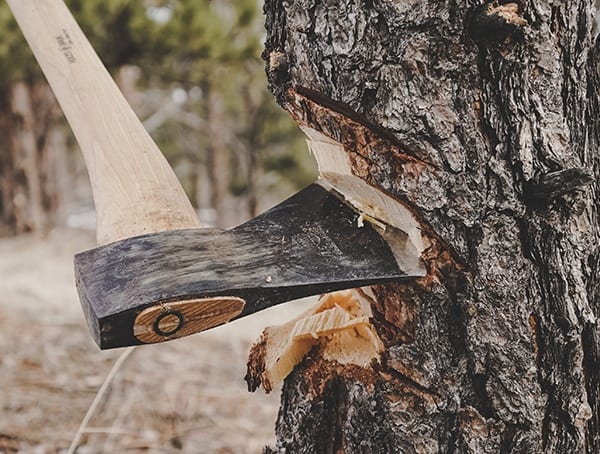 Review Outdoor Gear Hults Bruk American Felling Axes