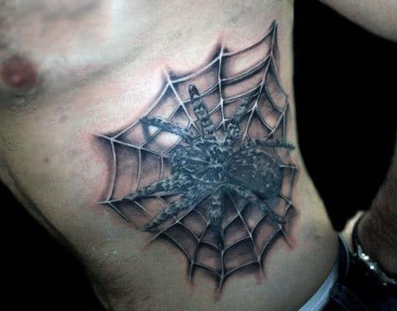 Rib Cage Side Tarantula With Spider Web Male Tattoos