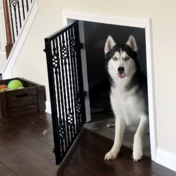 Rooms For Dogs