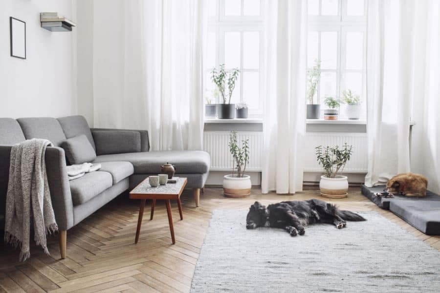 Scandinavian Small Living Room Ideas 5