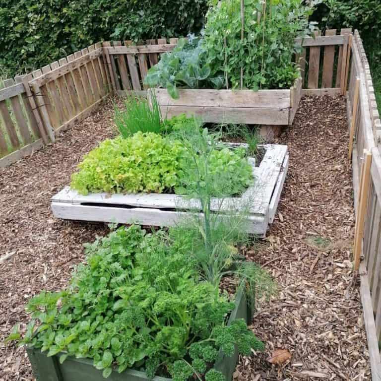 The Top 80 Vegetable Garden Ideas Next Luxury 