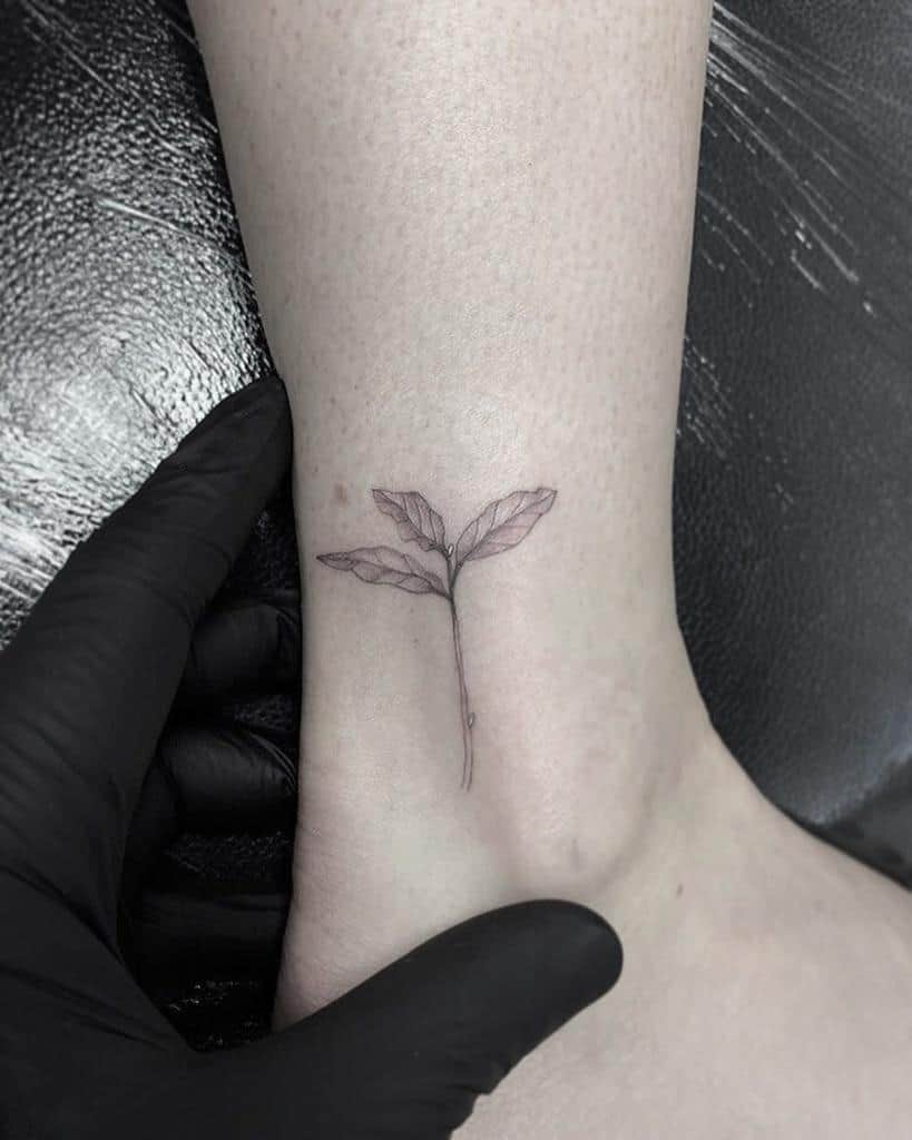 seed-grow-single-needle-tattoo-sourya.ttt