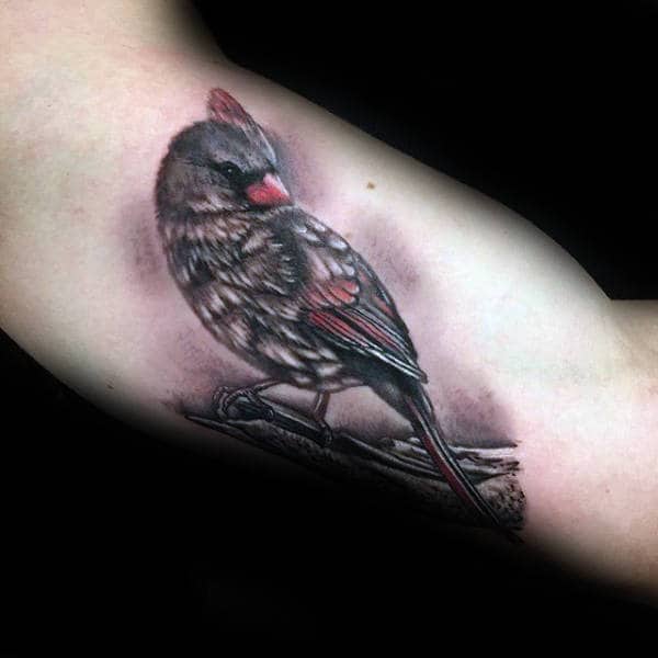 New cardinal tattoo done by Julia Campione at Good Omen Tattoos in Chicago  IL  rtattoo