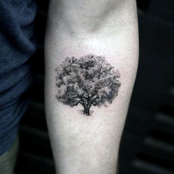 Shaded Realistic Coolest Small Tree Mens Inner Forearm Tattoo