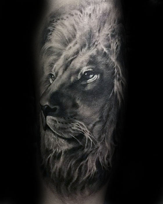 Shaded Realistic Male Tattoo Of Lion On Forearms