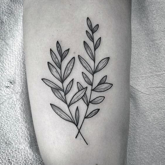 Shaded Small Simple Guys Olive Branch Arm Tattoo Ideas