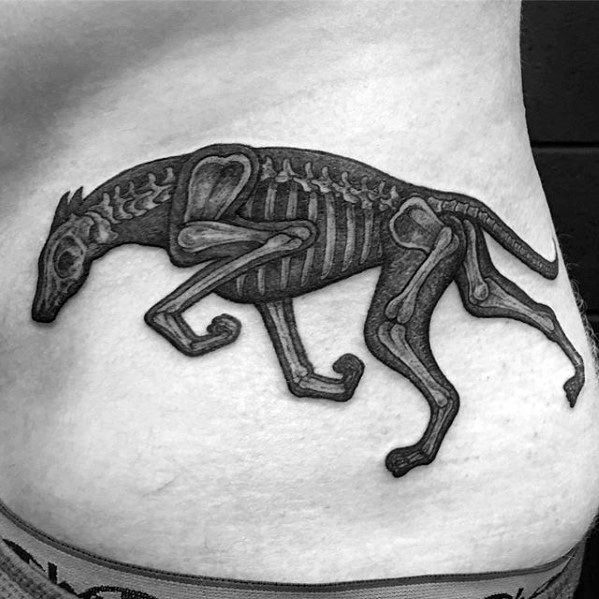 Sharp Greyhound Dog Skeleton Rib Cage Side Male Tattoo Ideas
