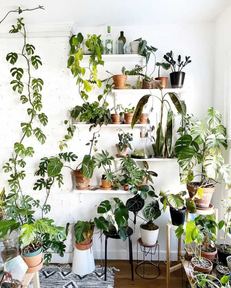 49 Creative Greenhouse Ideas For Year-round Gardening