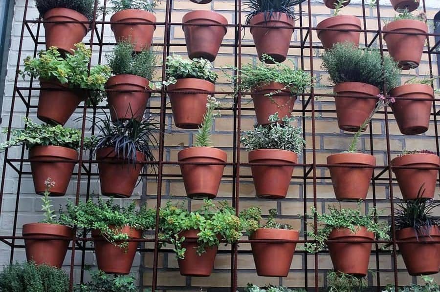 pot plant vertical garden