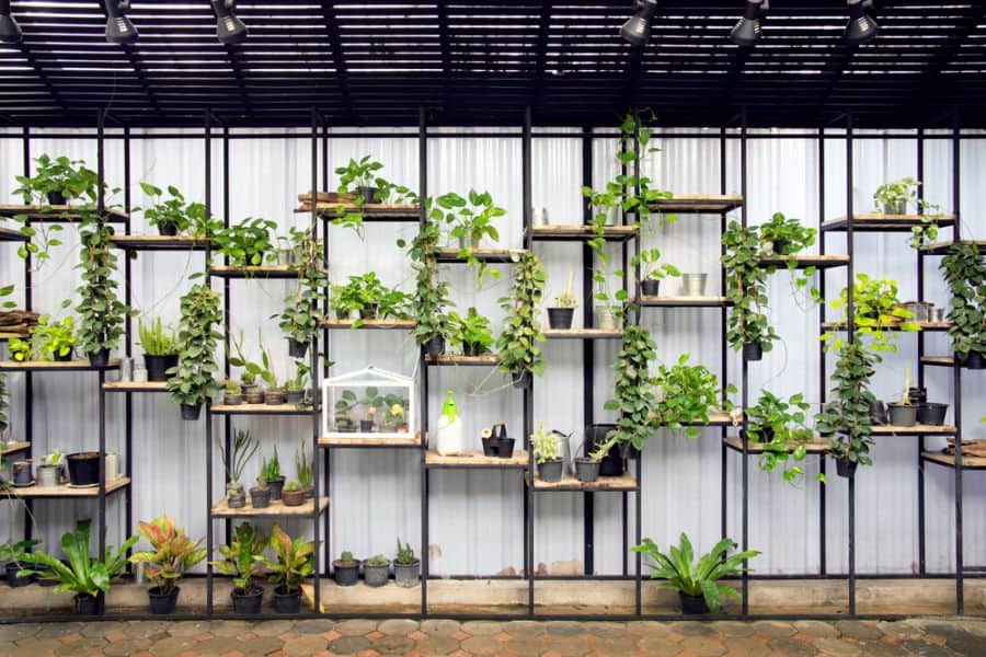 vertical garden with shelving