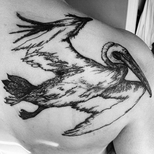 Shoulder Flying Pelican Tattoo Design On Man