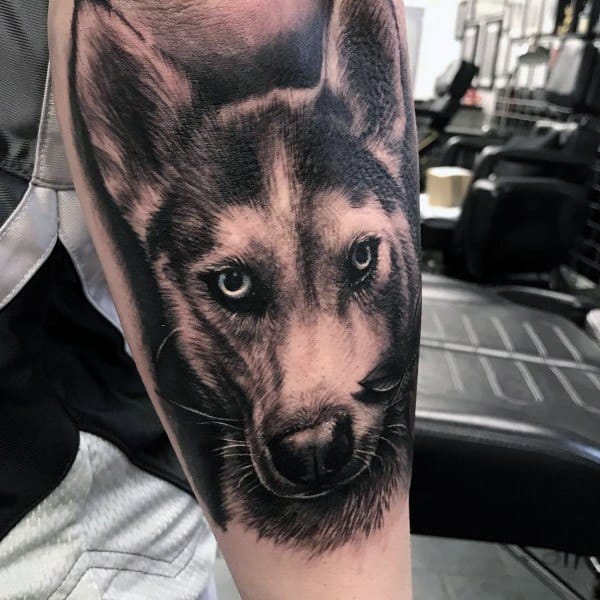 Siberian Husky Tattoo Design Ideas For Men