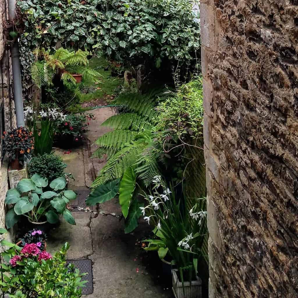 side yard shade garden 