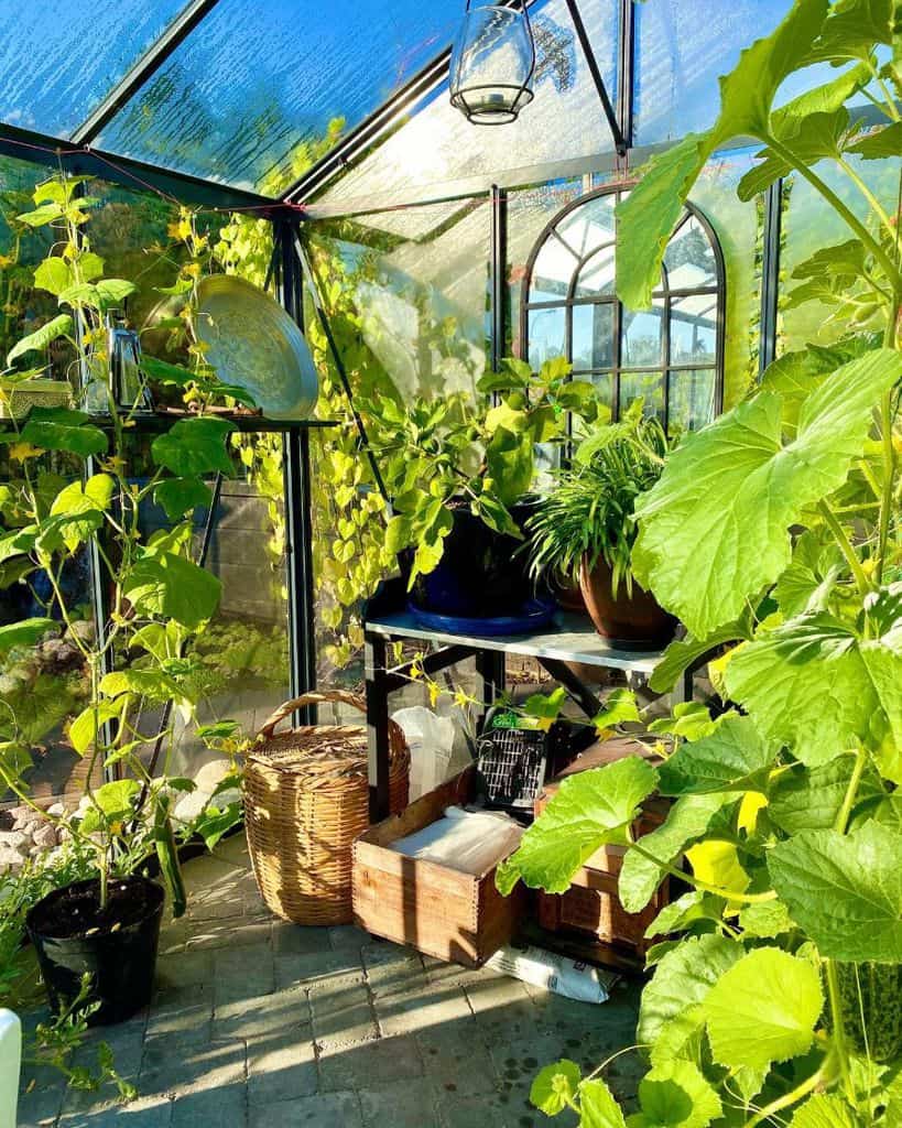 49 Creative Greenhouse Ideas For Year-Round Gardening