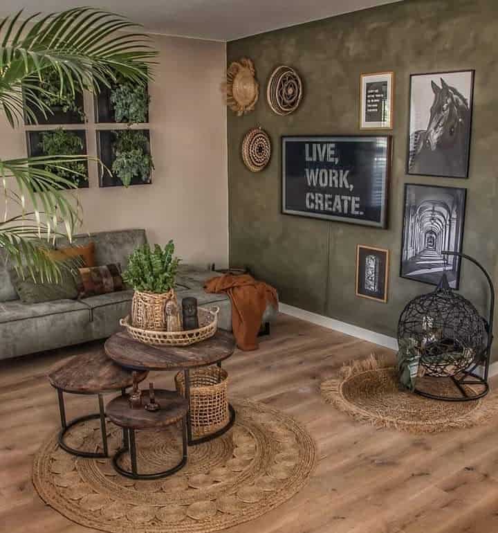 rustic style living room with wall art and hanging plants