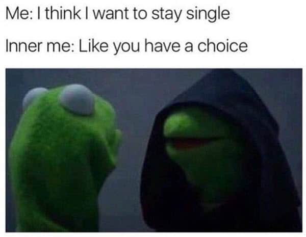 26 Single Memes That Everyone Can Relate To