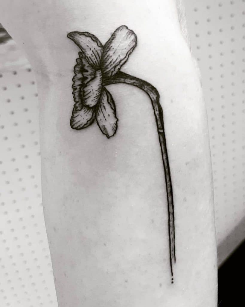 Single Stemmed Thick Black Side On Abstract Daffodil Tattoo