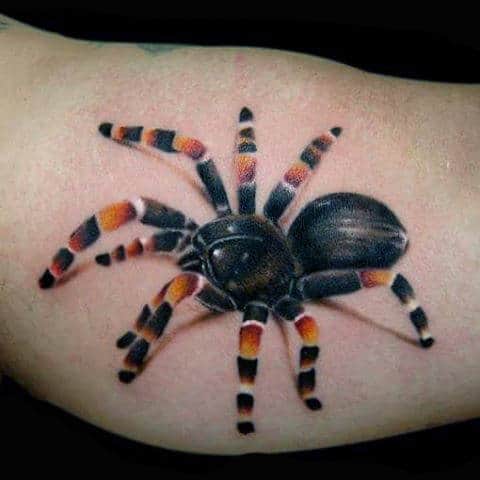 Small 3D Spider Tattoo On Forearm For Males